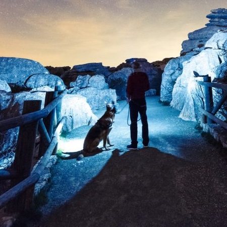 Walking your dog in the dark