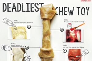 Dangers of Rawhide as a Dog treat