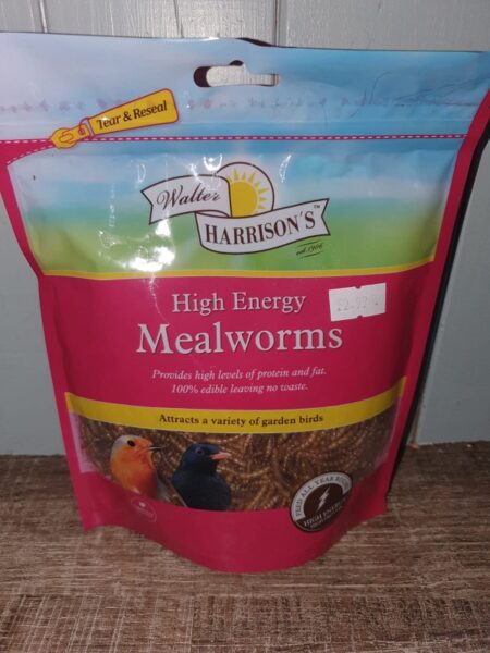 100g - Outdoor - High Energy Mealworms
