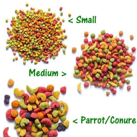 Zupreem - Fruit Blend Flavour Food