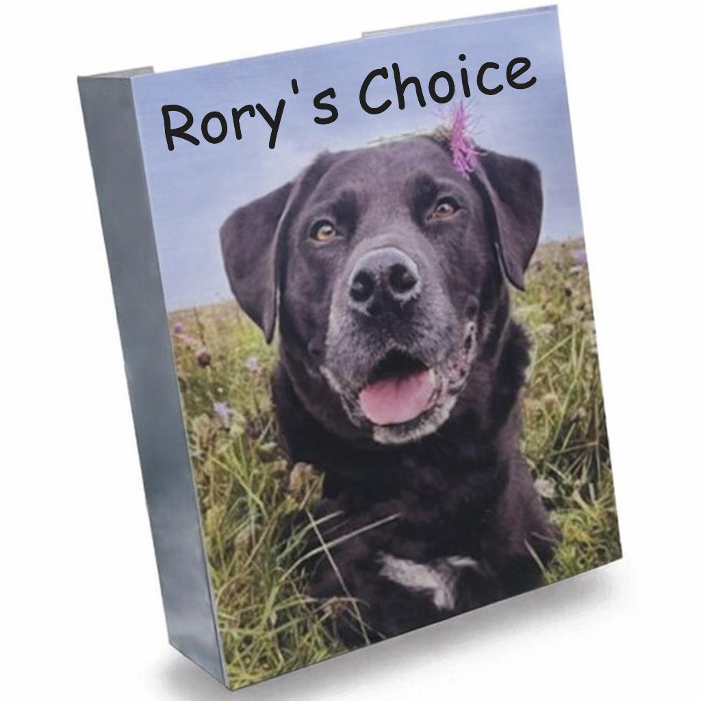 Chicken & Rice With Veg