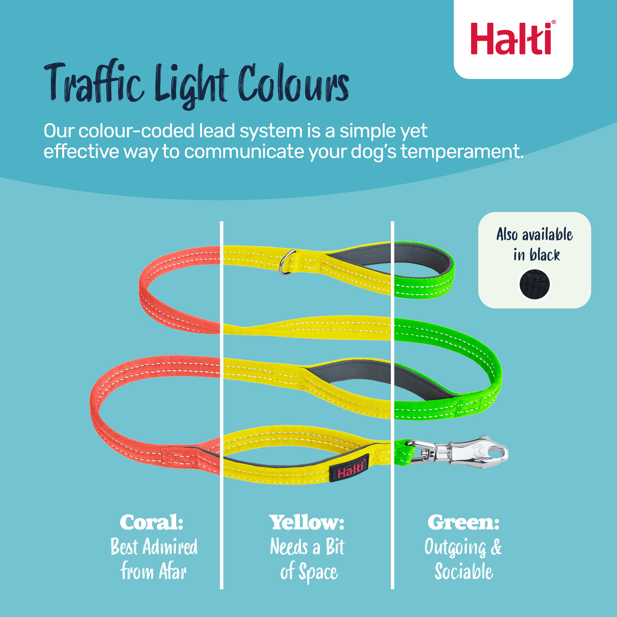 Halti - Brigg Safety Lead