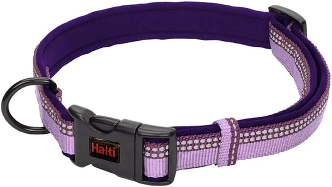 Halti - Reflective Comfort