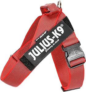 IDC Lightweight Belt 