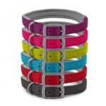 Viva - Padded Buckle