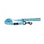 SOHO - Daisy Clip Lead