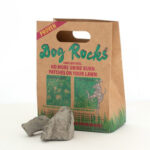 Dog Rocks - Igneous Rocks